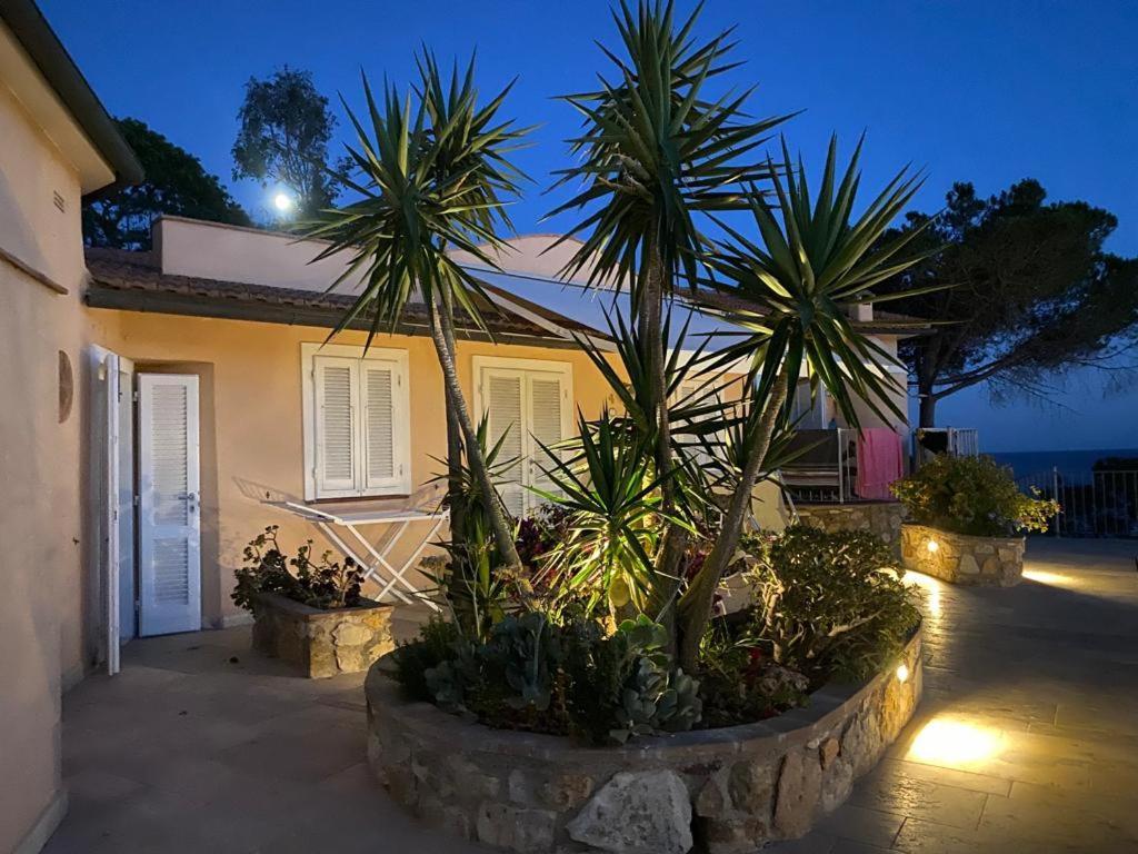 Ferienwohnung Rosa Dei Venti Capoliveri  Exterior foto